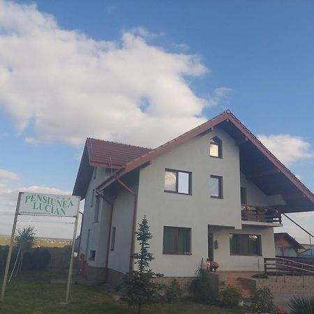 Pensiunea Lucian Baltati Exteriér fotografie
