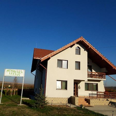 Pensiunea Lucian Baltati Exteriér fotografie