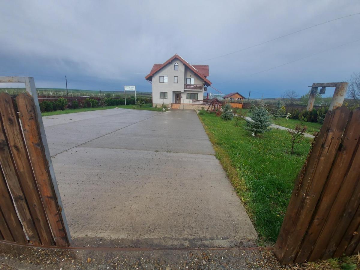 Pensiunea Lucian Baltati Exteriér fotografie