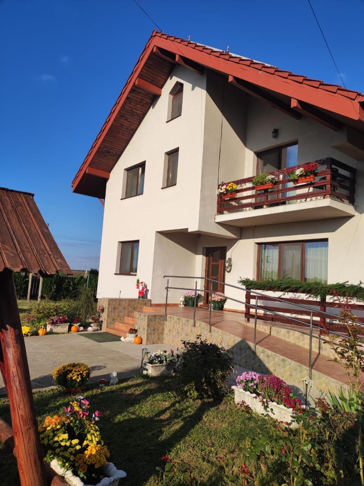 Pensiunea Lucian Baltati Exteriér fotografie