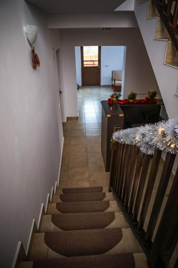 Pensiunea Lucian Baltati Exteriér fotografie